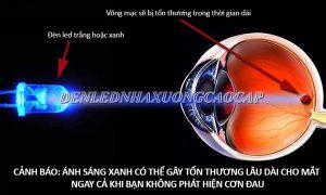 Nhìn trực tiếp vào ánh sáng đèn liên tục có thể gây tổn thương võng mạc